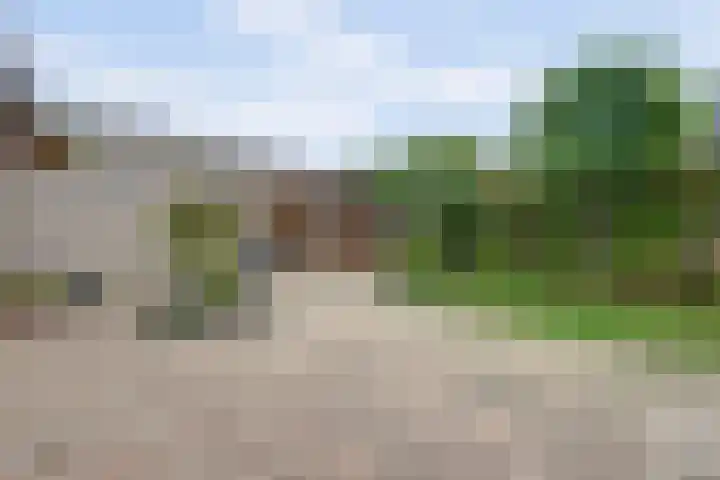 Piermanstraat 9 Krabbendijke thumbnail 34