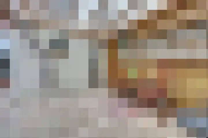 Piermanstraat 9 Krabbendijke thumbnail 36