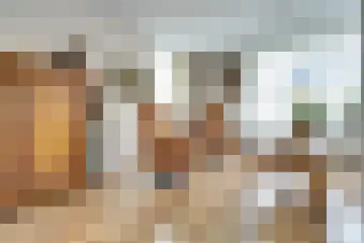 Piermanstraat 9 Krabbendijke thumbnail 6