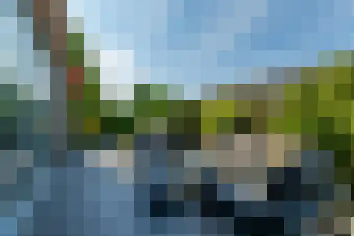 Pierre Cardinstraat 54 Rotterdam thumbnail 25