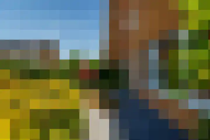 Pierre Cardinstraat 54 Rotterdam thumbnail 26