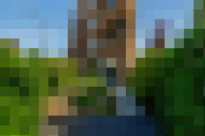 Pierre Cardinstraat 54 Rotterdam thumbnail 27