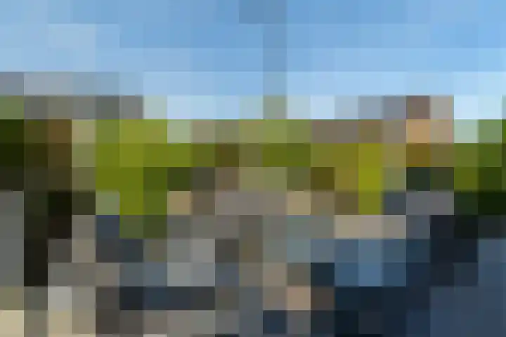 Pierre Cardinstraat 54 Rotterdam thumbnail 30