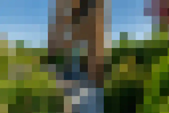 Pierre Cardinstraat 54 Rotterdam thumbnail 31