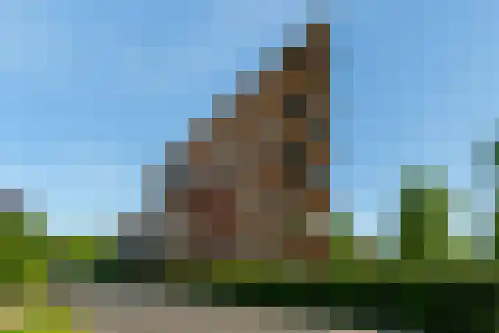 Pierre Cardinstraat 54 Rotterdam thumbnail 34