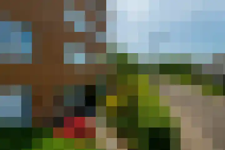 Pierre Cardinstraat 54 Rotterdam thumbnail 39