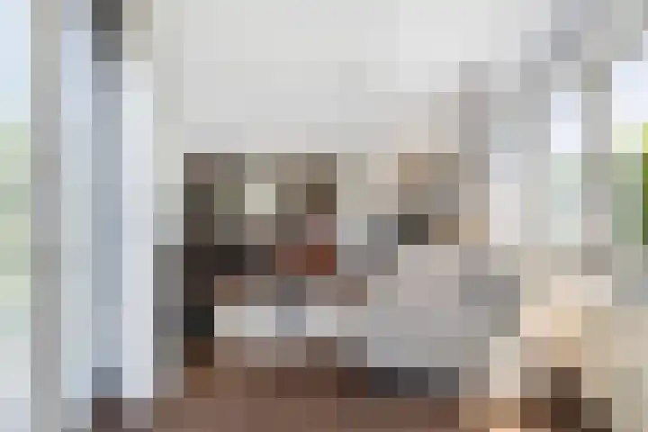 Pierre Cardinstraat 54 Rotterdam thumbnail 4