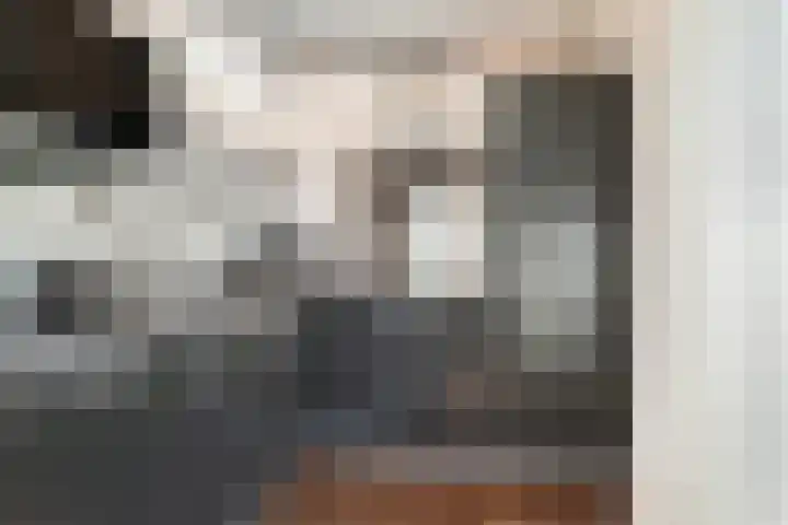 Pierre Cardinstraat 54 Rotterdam thumbnail 5