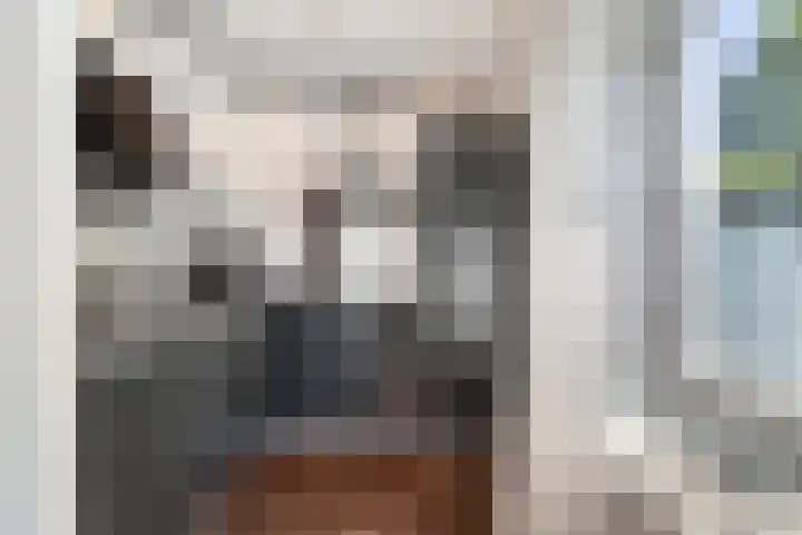 Pierre Cardinstraat 54 Rotterdam thumbnail 6