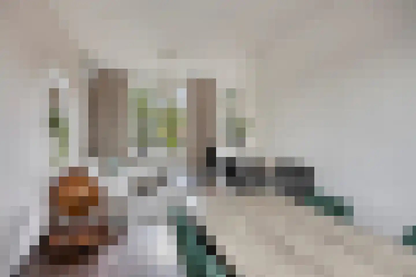Pierre Cuypersstraat 10 Roermond thumbnail 12