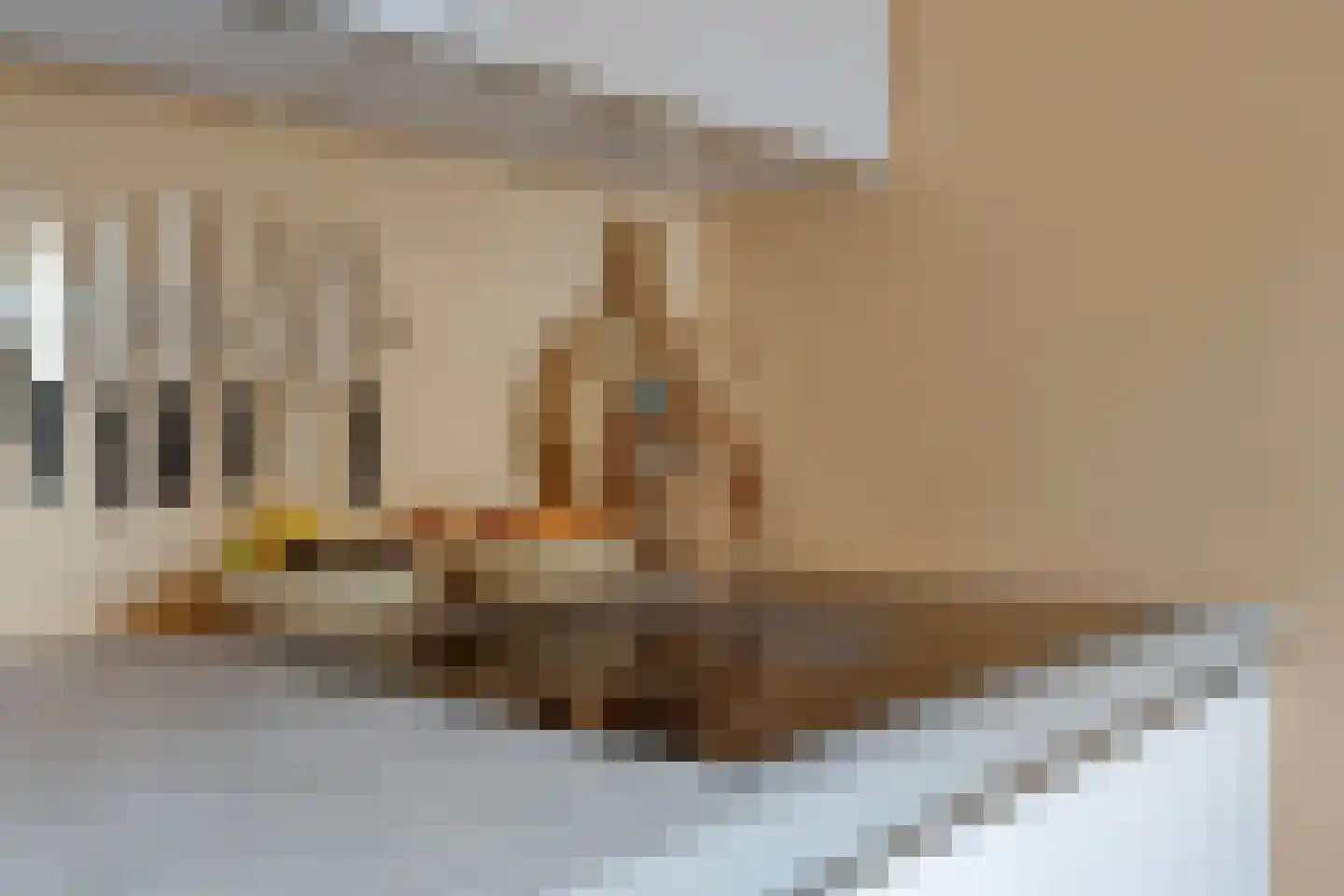 Pierre Cuypersstraat 10 Roermond thumbnail 21