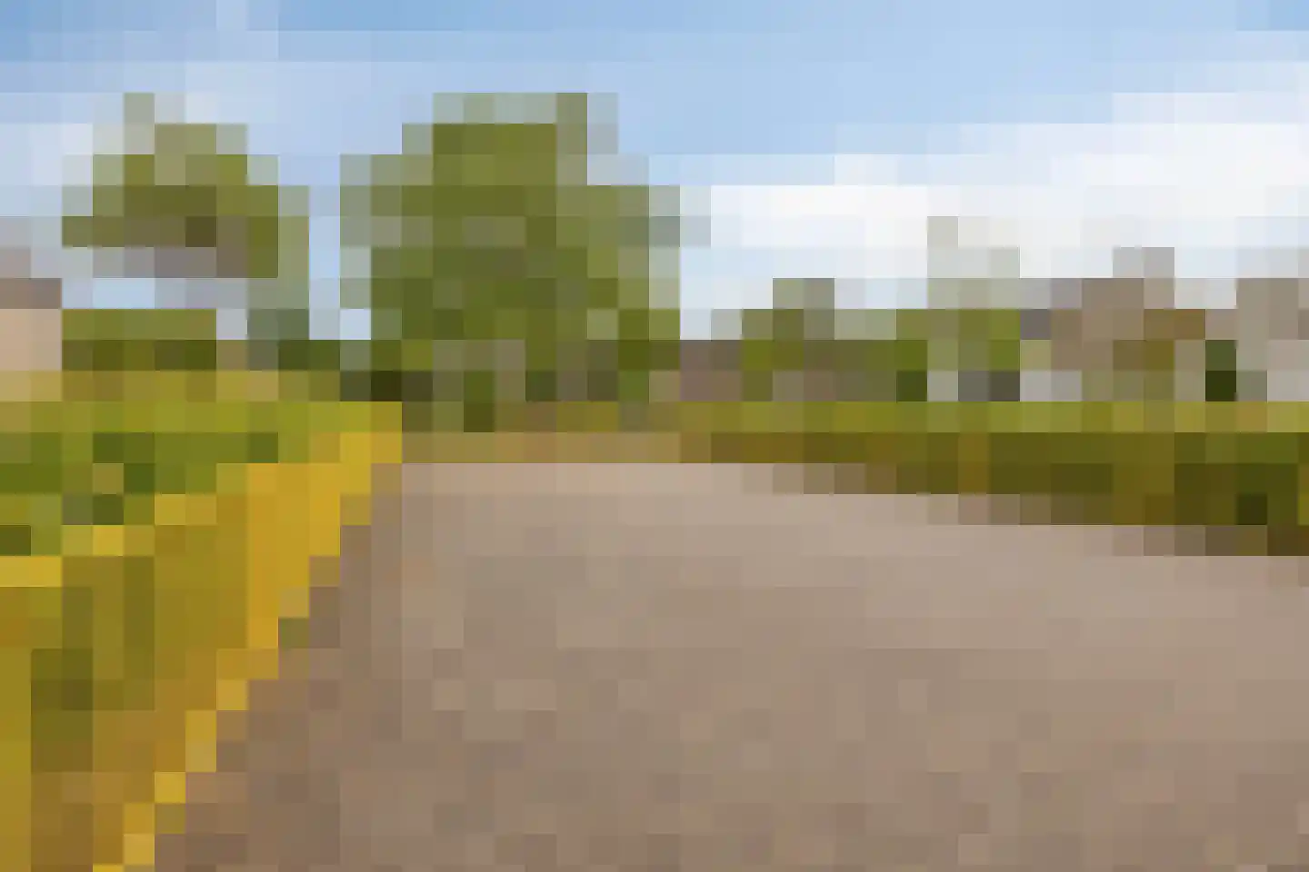 Pierre Cuypersstraat 10 Roermond thumbnail 47