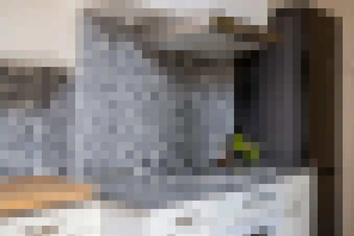 Pierre Cuypersstraat 12 Roermond thumbnail 25