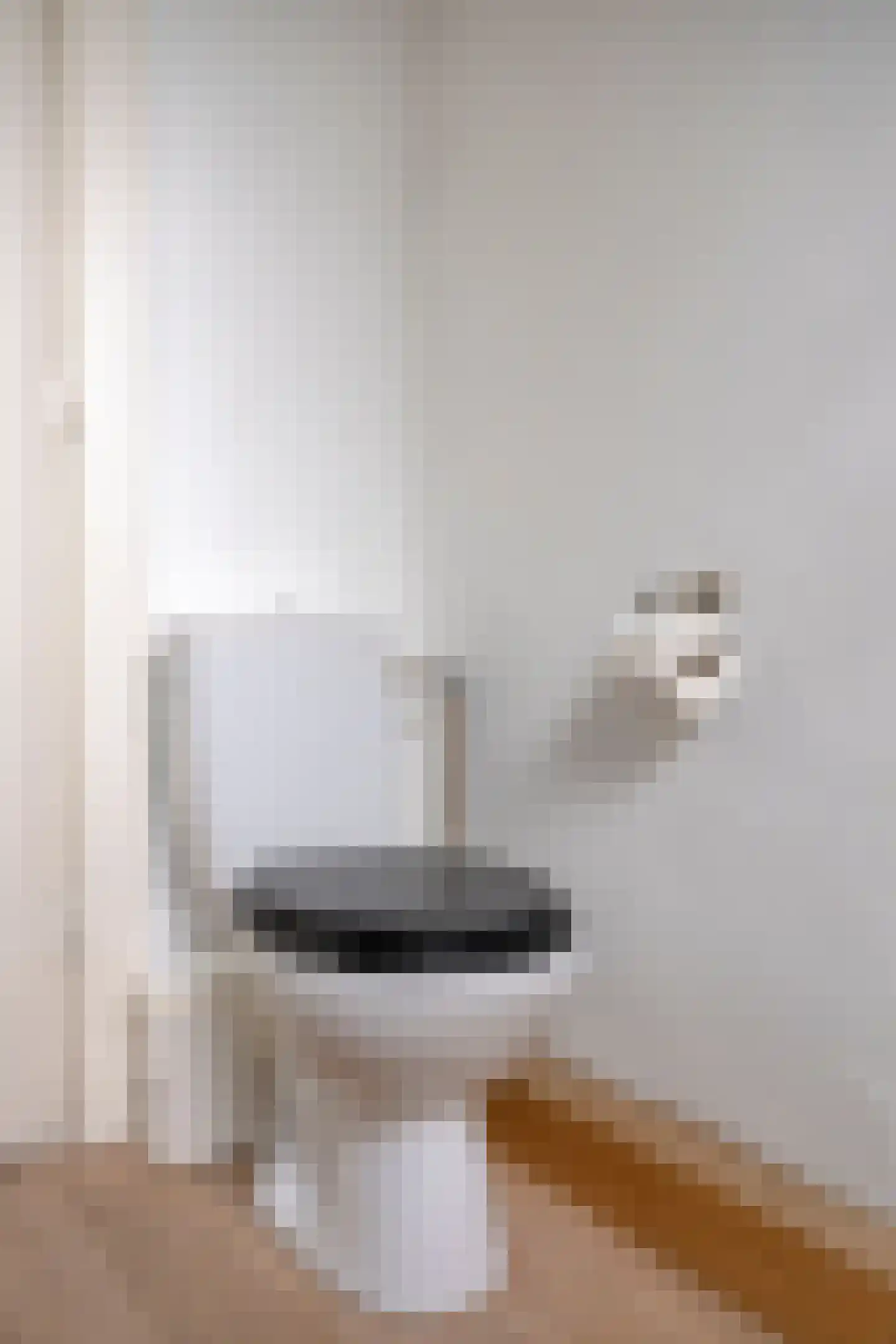 Pierre Cuypersstraat 12 Roermond thumbnail 35