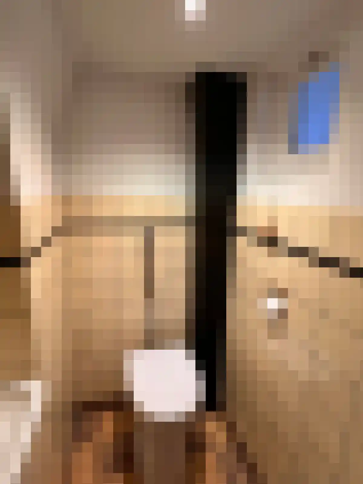 Pierre Janssenstraat 21 Boxtel thumbnail 5