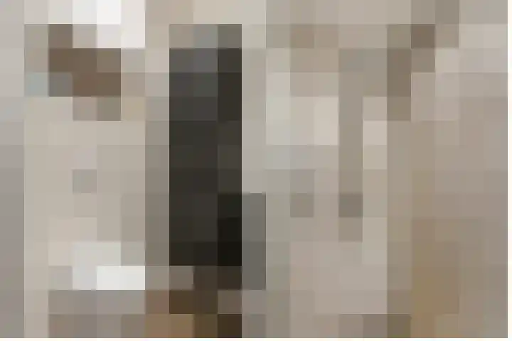 Pierre Kemphove 101 Zoetermeer thumbnail 18
