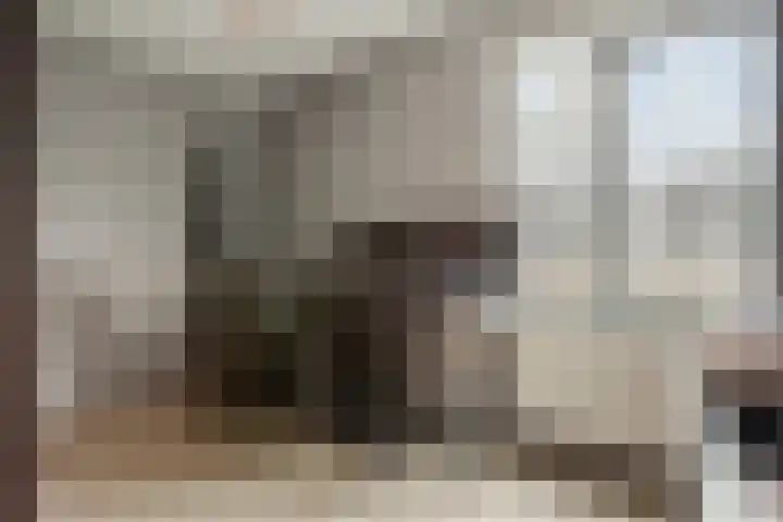 Pierre Kemphove 101 Zoetermeer thumbnail 22