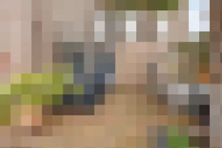 Pierre Kemphove 101 Zoetermeer thumbnail 28