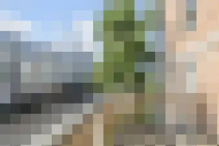 Pierre Kemphove 119 Zoetermeer thumbnail 31