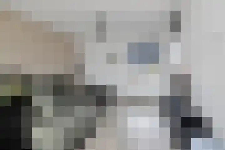 Pierre Kemphove 133 Zoetermeer thumbnail 12