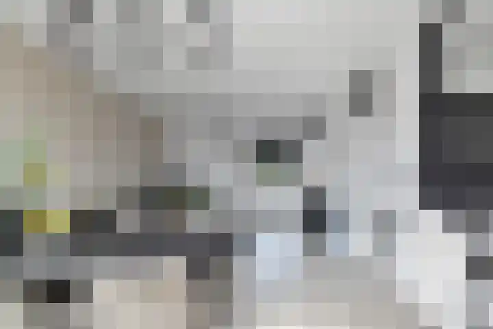 Pierre Kemphove 133 Zoetermeer thumbnail 17