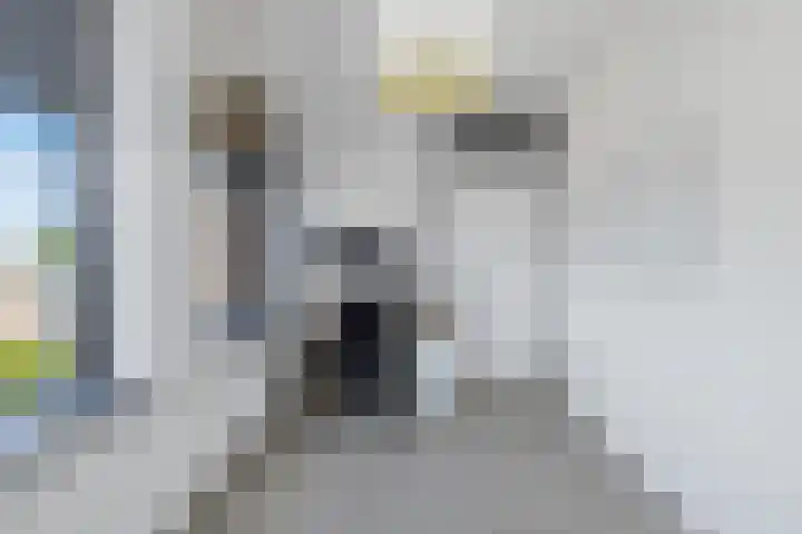 Pierre Kemphove 133 Zoetermeer thumbnail 29