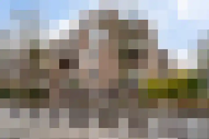 Pierre Kemphove 23 in Zoetermeer