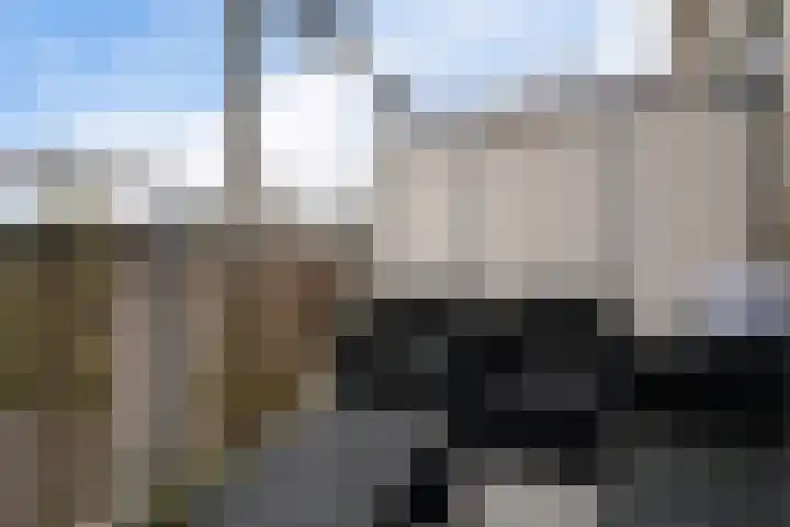 Pierre Kemphove 23 Zoetermeer thumbnail 23