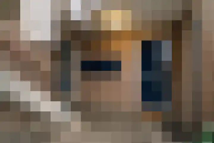 Pierre Kemphove 23 Zoetermeer thumbnail 9