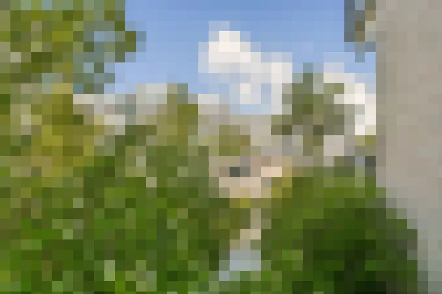 Pierre Kemphove 31 Zoetermeer thumbnail 10