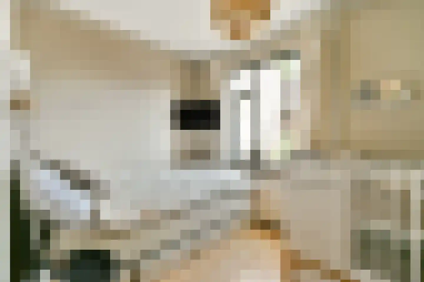 Pierre Kemphove 31 Zoetermeer thumbnail 13