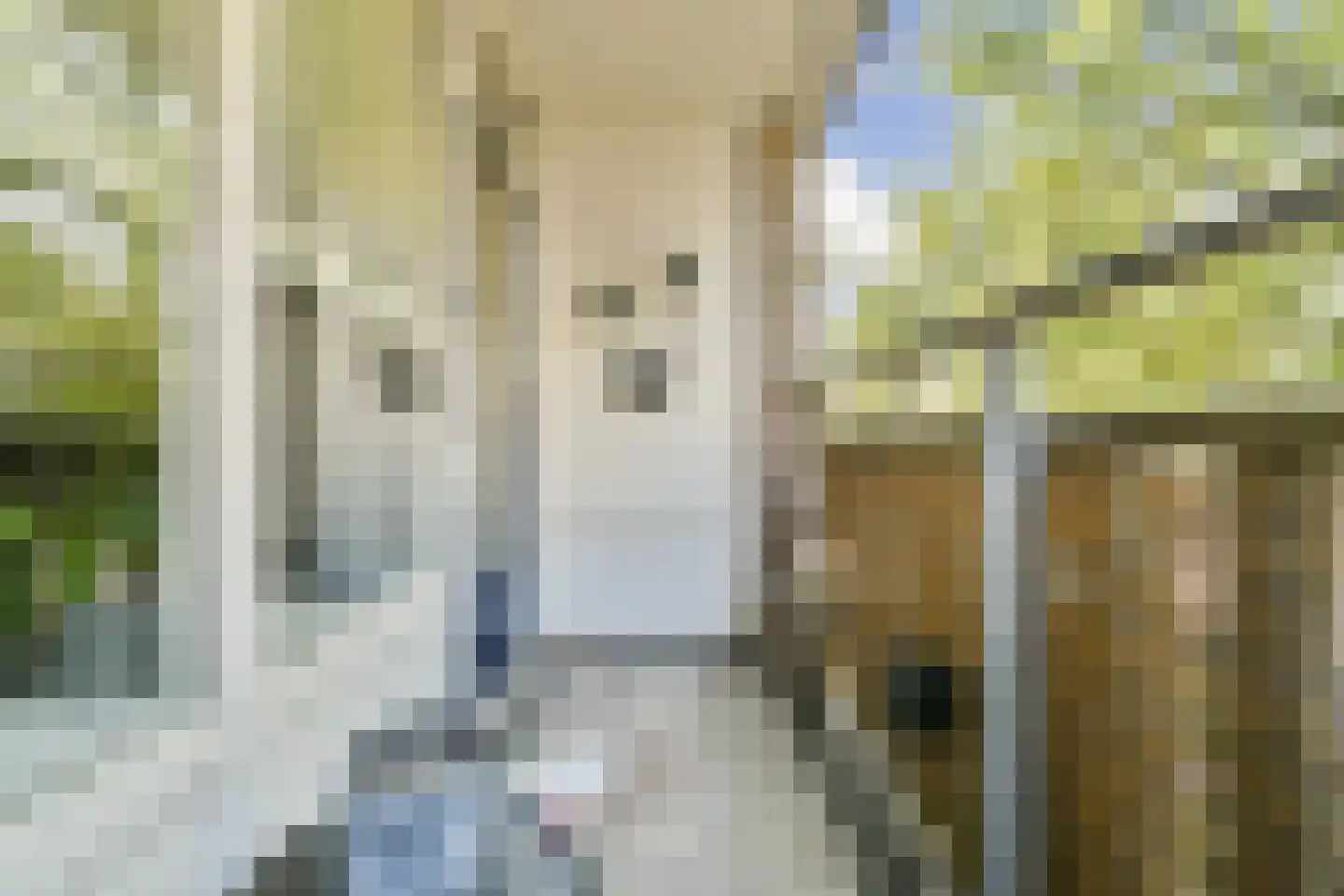 Pierre Kemphove 31 Zoetermeer thumbnail 8