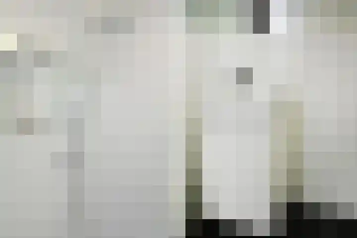 Pierre Kemphove 47 Zoetermeer thumbnail 18