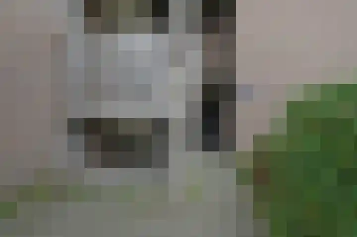 Pierre Kemphove 47 Zoetermeer thumbnail 6