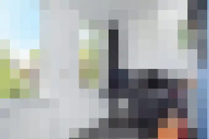 Pierre Kemphove 9 Zoetermeer thumbnail 25