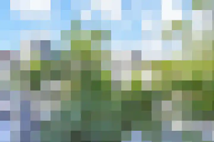 Pierre Kemphove 9 Zoetermeer thumbnail 37