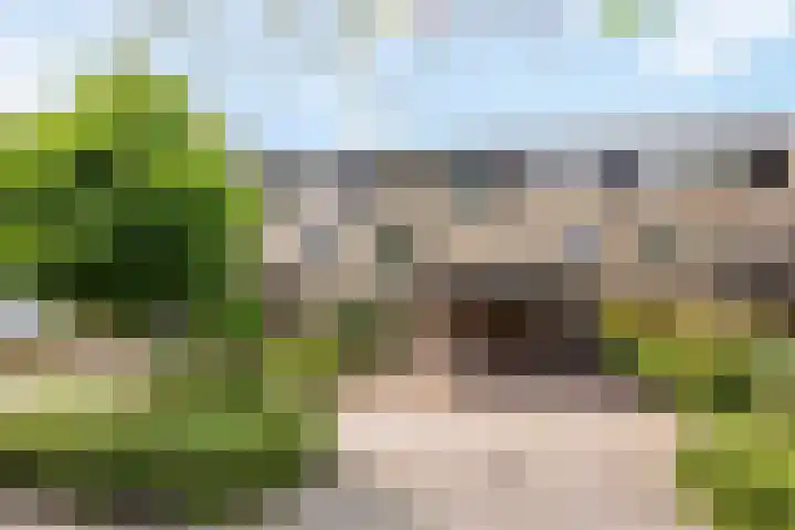Pierre Monteuxstraat 32 Hengelo thumbnail 5