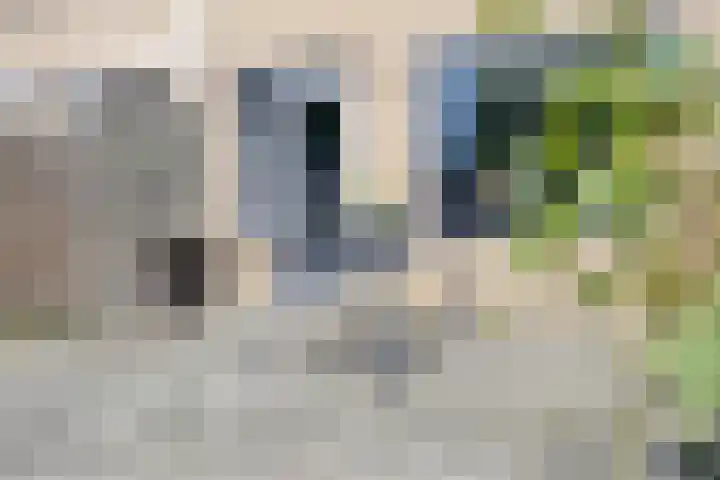 Pierre Monteuxstraat 56 Hengelo thumbnail 32