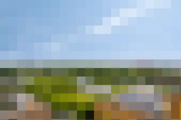 Pierre van Hauwelaan 446 Delft thumbnail 31
