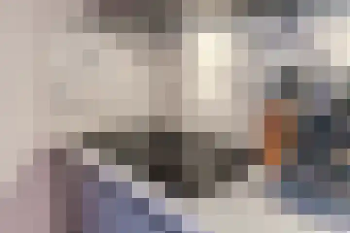 Pierre van Hauwelaan 452 Delft thumbnail 18