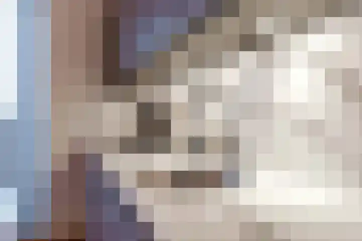 Pierre van Hauwelaan 452 Delft thumbnail 19