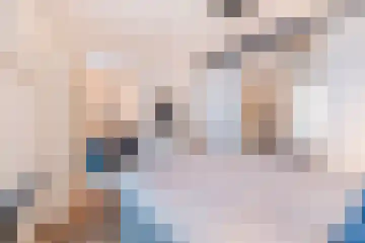Pierre van Hauwelaan 452 Delft thumbnail 25