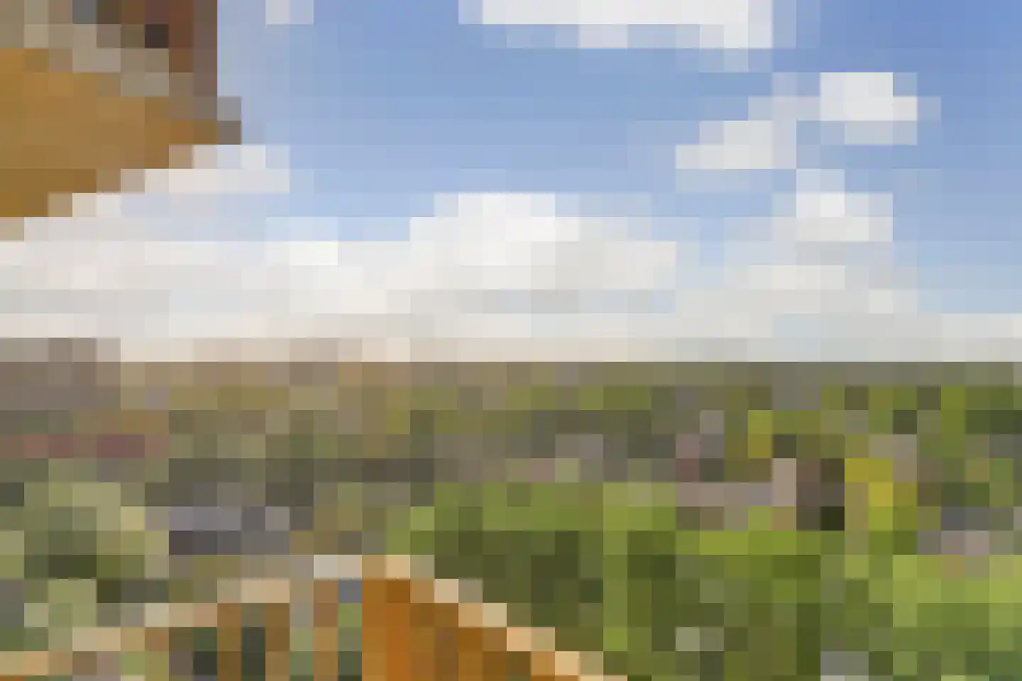 Pierre van Hauwelaan 504 Delft thumbnail 33