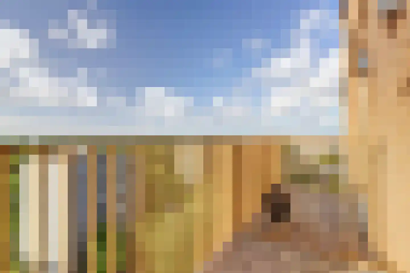 Pierre van Hauwelaan 504 Delft thumbnail 6