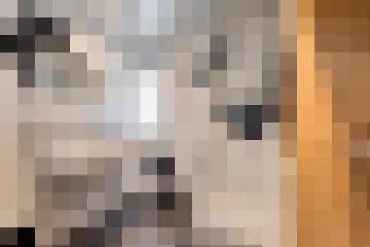 Pierrestraat 5 Eygelshoven thumbnail 14