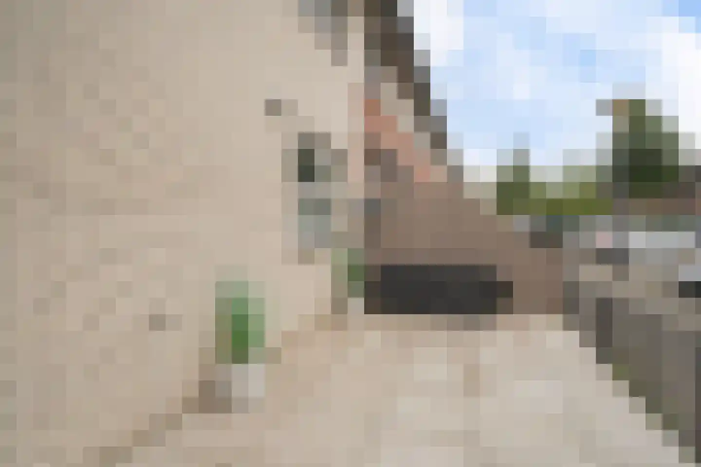 Piershilstraat 12 Zoetermeer thumbnail 13