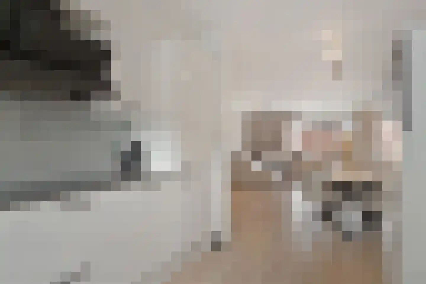 Piershilstraat 12 Zoetermeer thumbnail 25