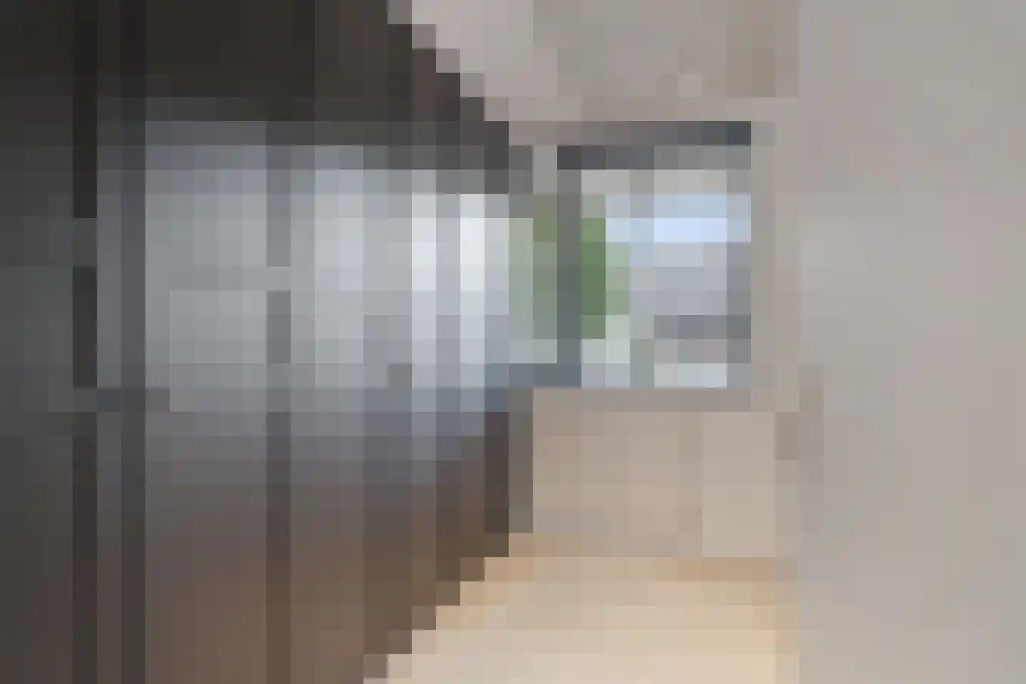 Piershilstraat 12 Zoetermeer thumbnail 38