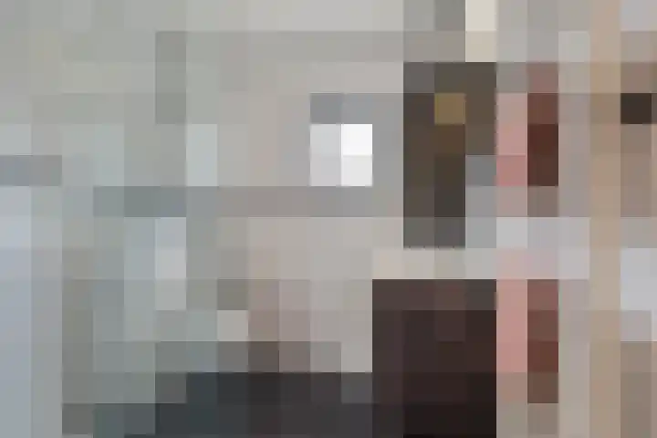Piershilstraat 47 Zoetermeer thumbnail 31