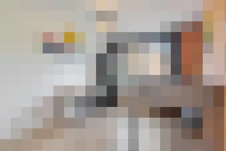 Piershilstraat 47 Zoetermeer thumbnail 37